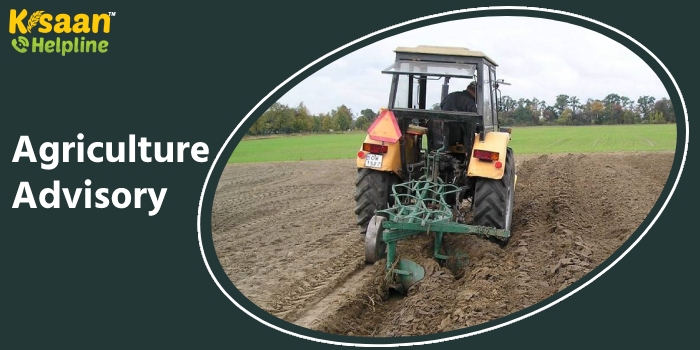 कृषि वैज्ञानिकों ने जारी की कृषि एडवाइजरी, किसान भाई इन बातों का रखे विशेष ध्यान